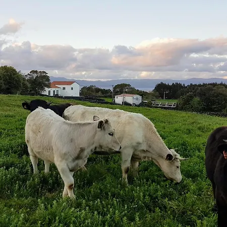 Liiiving In Acores - Mountain Island House