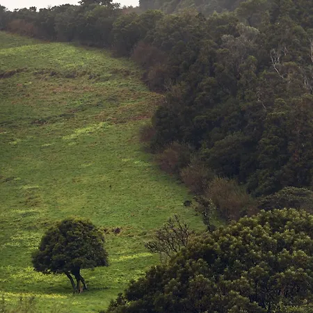 Liiiving In Acores - Mountain Island House * Altamora (Pico)